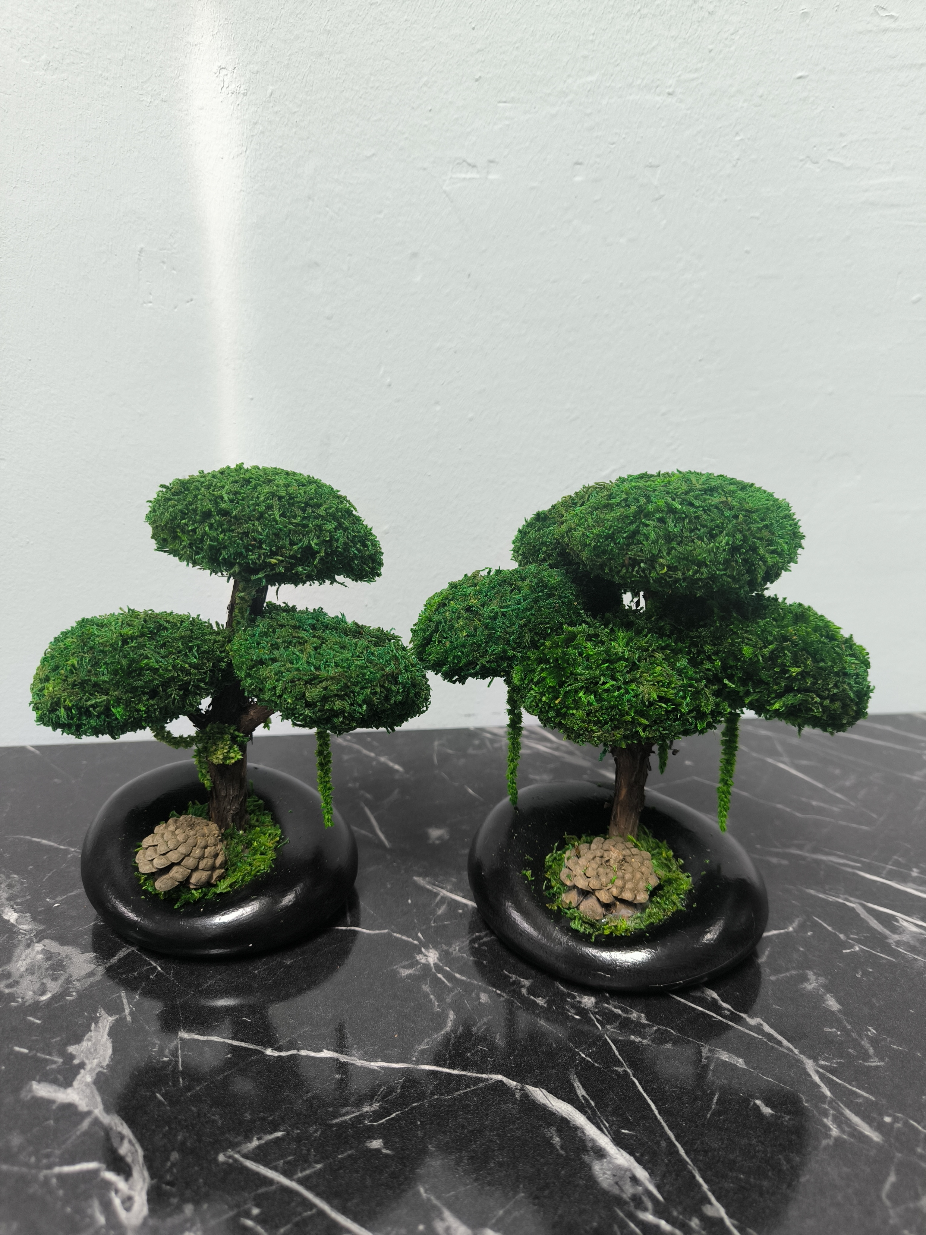 mini-bonsai