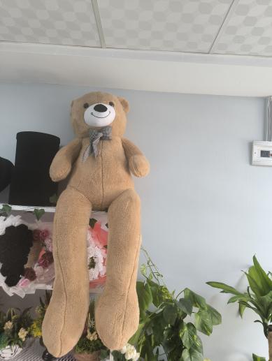 pelus-papyonlu-ayi-170cm-kahverengi